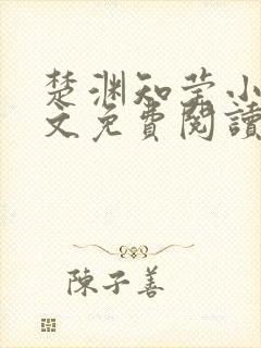 楚渊知莹小说全文免费阅读封面