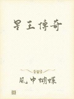 星王传奇