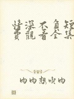 情深不负短剧免费观看全集高清