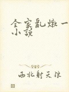 全家乱炖一锅烩小说