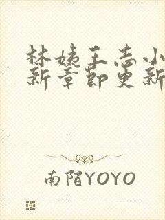 林姨王志小说最新章节更新免费阅读