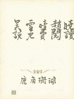 吴雪晴赵晓东小说免费阅读