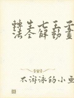 转生七王子的魔法全解动画免费观看