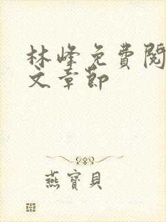 林峰免费阅读全文章节