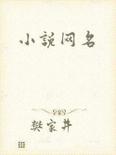 小说网名