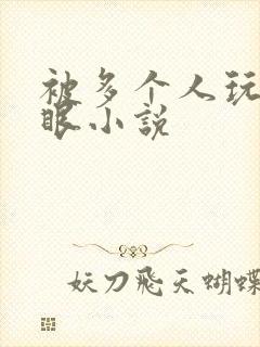 被多个人玩屁股眼小说封面