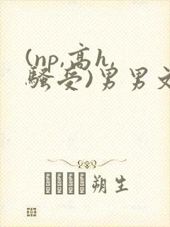 (np,高h,骚受)男男文