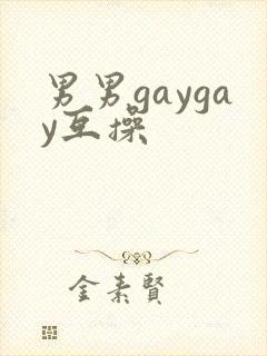 男男gaygay互操