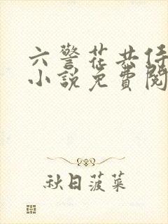 六警花共侍一夫小说免费阅读