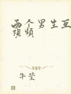 两个男生互操的视频