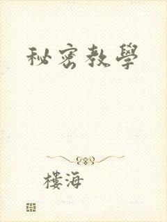 秘密教学封面