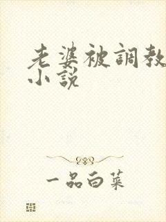 老婆被调教暴露小说