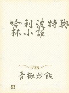 哈利波特与火焰杯小说