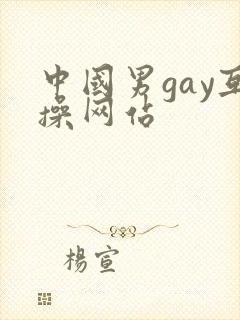 中国男gay互操网站