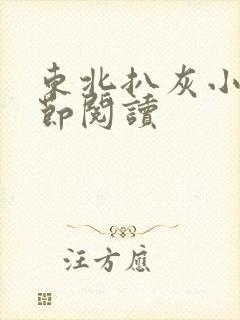 东北扒灰小说分节阅读