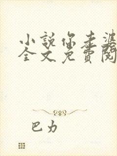 小说你老婆掉了全文免费阅读