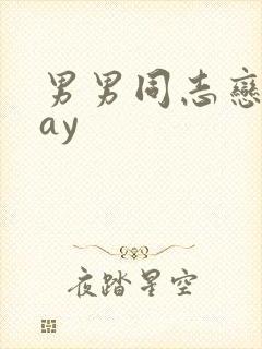 男男同志恋片gay