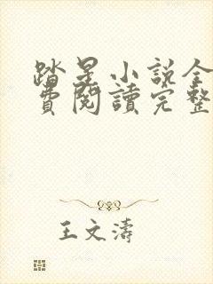 踏星小说全文免费阅读完整版无弹窗封面