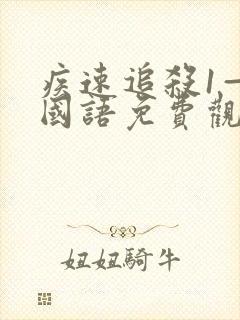 疾速追杀1—4国语免费观看