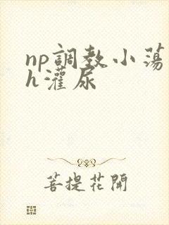 np调教小荡货h灌尿