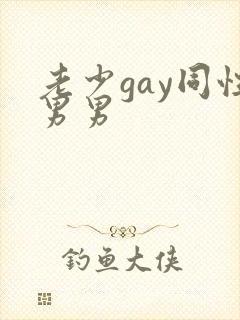 老少gay同性男男