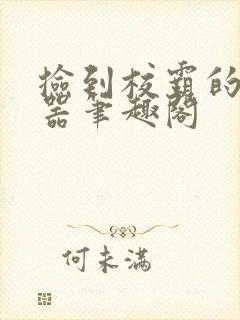 捡到校霸的遥控器笔趣阁封面