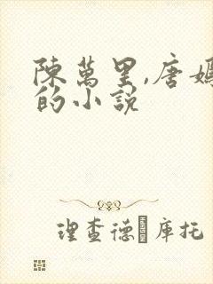 陈万里,唐嫣然的小说封面