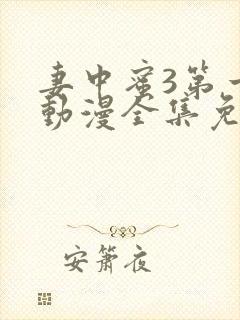 妻中蜜3第一季动漫全集免费观看封面