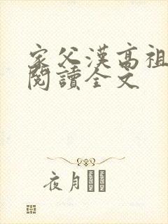 家父汉高祖免费阅读全文
