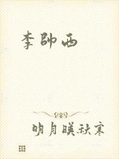 李帅西封面