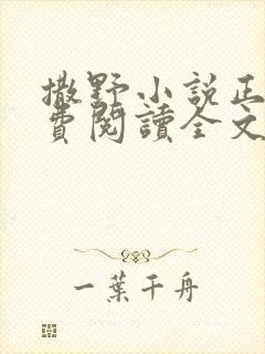 撒野小说正版免费阅读全文无弹窗封面