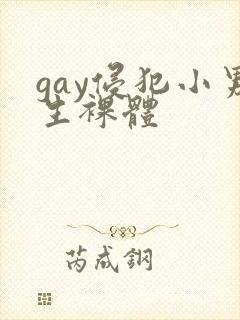 gay侵犯小男生裸体