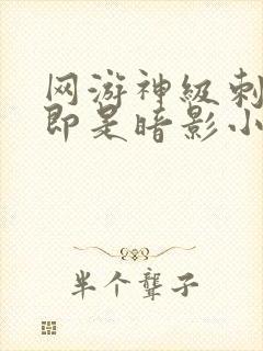 网游神级刺客我即是暗影小说免费阅读