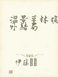 温景蔓林砚辞番外结局封面