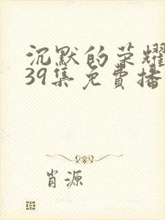 沉默的荣耀1—39集免费播放