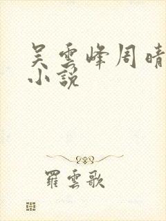 吴云峰周晴李磊小说