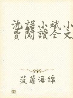 沈诺小斌小说免费阅读全文最新章节