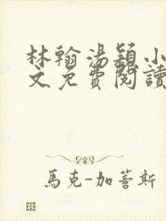 林翰汤颖小说全文免费阅读封面