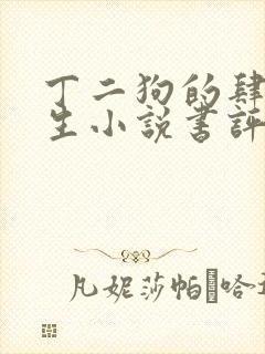 丁二狗的肆意人生小说书评