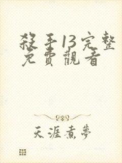 杀手13完整版免费观看