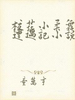 校花小柔舞蹈室遭遇记小说