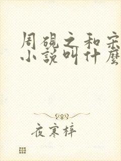 周砚之和宋苓的小说叫什么名字啊封面