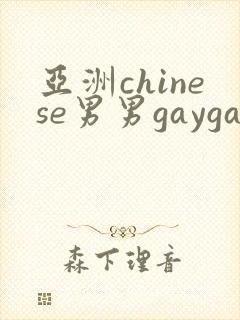 亚洲chinese男男gaygay网站