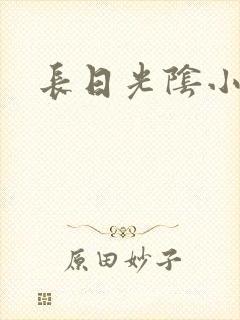 长日光阴小说封面