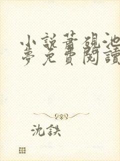 小说萧砚池溪清梦免费阅读封面