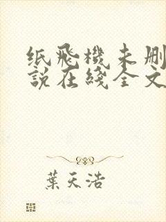 纸飞机未删减小说在线全文免费阅读封面