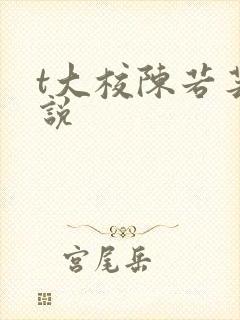 t大校陈若芸小说