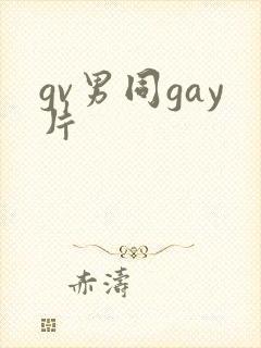 gv男同gay片封面
