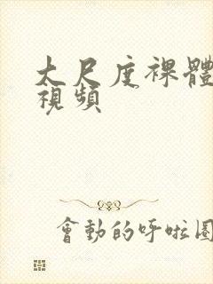 大尺度裸体写真视频封面