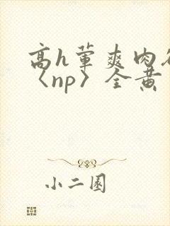 高h荤爽肉欲文〈np〉全黄